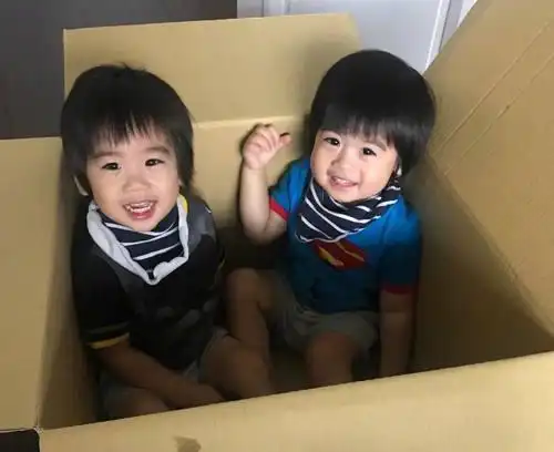 林志颖的三个儿子越长越帅,双胞胎儿子扎着小辫子!