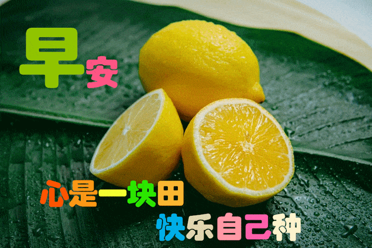 1月27日最漂亮早上好动态表情图片大全,早上好动图美图大全