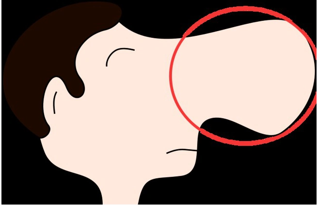 闻味道软木是地域性的资源产品,仅仅生长在地中海盆地西岸的几个国家.