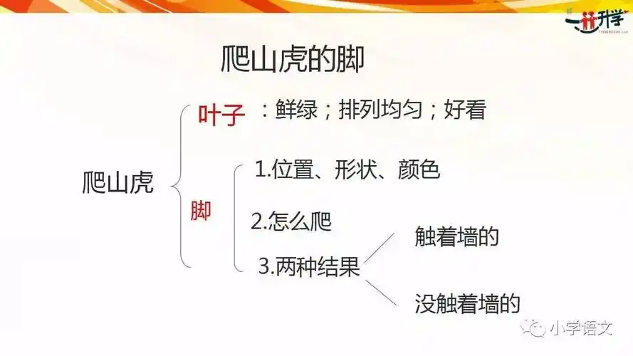 人教版四年级上册6《爬山虎的脚》ppt课件