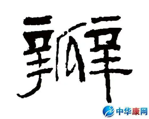 瓣怎么组词_怎么用瓣组词_中华康网