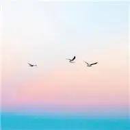 清新意境风景头像简单美好的意境