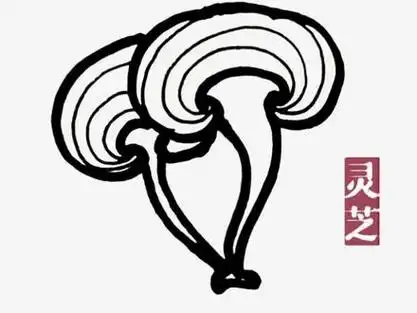 灵芝——每天一个简笔画,宝宝轻松会画画!
