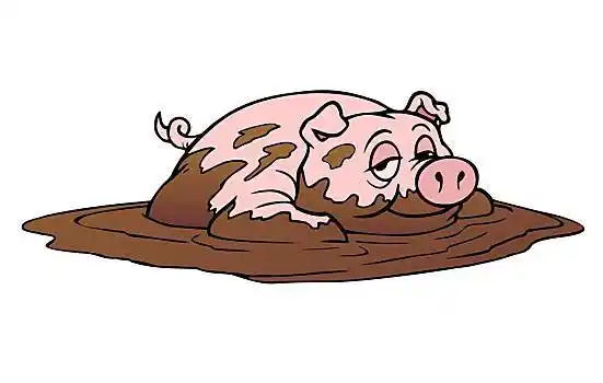 高兴,猪,泥,满意,家畜,打滚