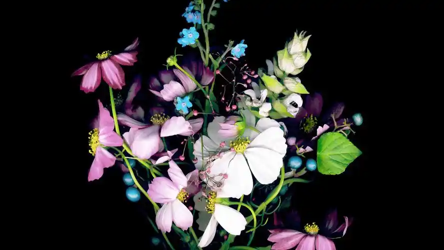 10wallpaper 广告 壁纸 苹果ios 8 iphone 6 和 iphone 6 plus hd