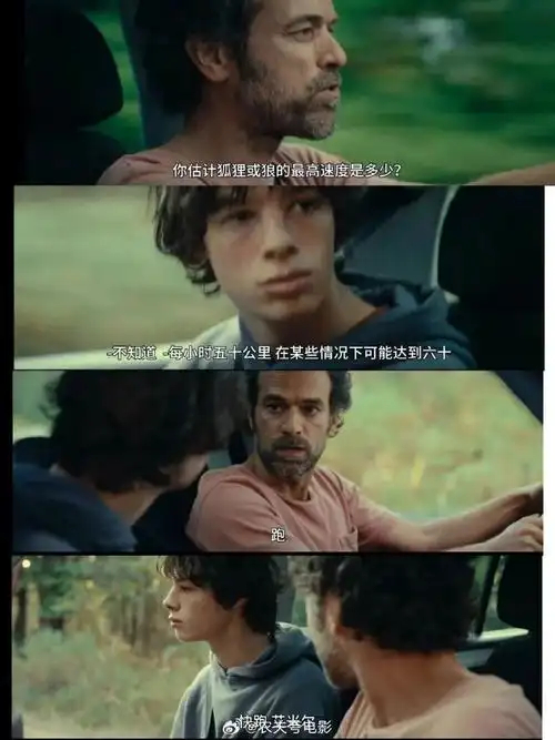 今年第二十四场观影,观看法国电影最高奖凯撒奖获最佳影片,导演,男主