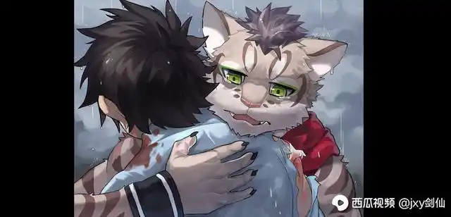 家有大猫合集 - 西瓜视频