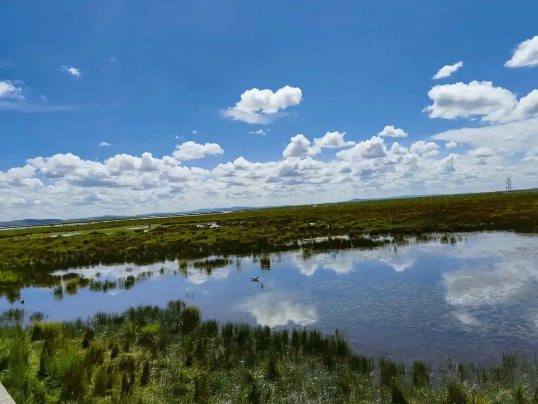 9 四川阿坝州若尔盖县花湖景区 	 湖水天真的蓝,无法形容的纯净.