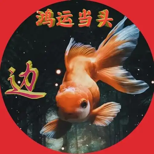 回归自然,呼吸新鲜空气鸿运当头自由自在金鱼姓氏头像