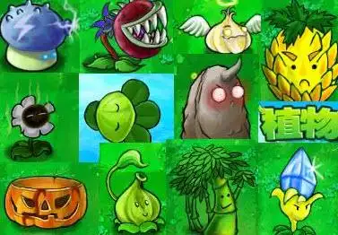 植物大战僵尸贝贝草