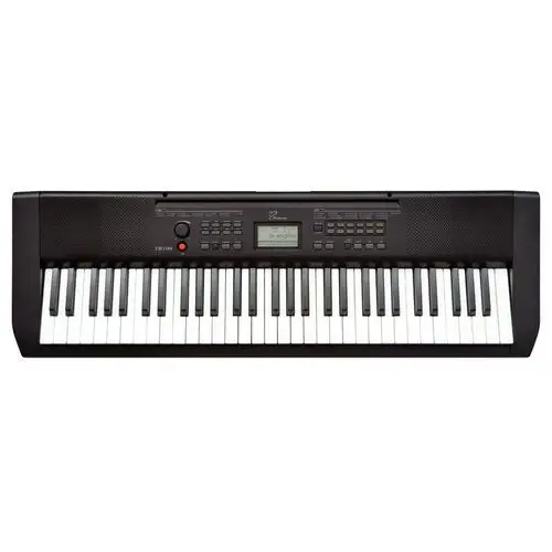 吟飞电子琴tb-100电子琴61键儿童成人初学入门 600a升级_7折现价835元