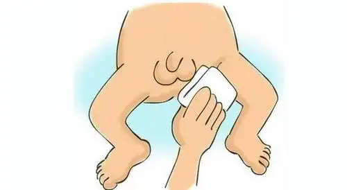 宝宝的"小鸡鸡"由两条阴茎海绵体和一个尿道海绵体,以及包在外面的