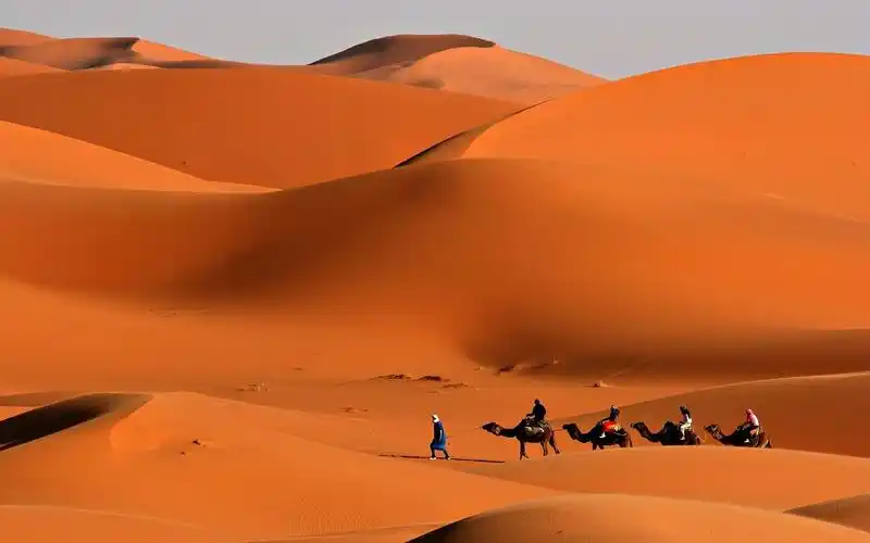 描述: 大篷车沙漠骆驼沙子-风景图片壁纸 当前壁纸尺寸: 1680 x 1050