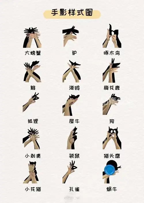 3.完成手影后,还可移动光源,观察小动物的大小的变化.