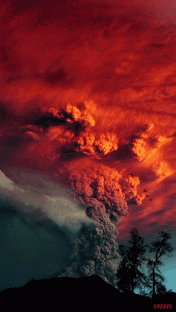 346_615竖版 竖屏gif 动态图 动图