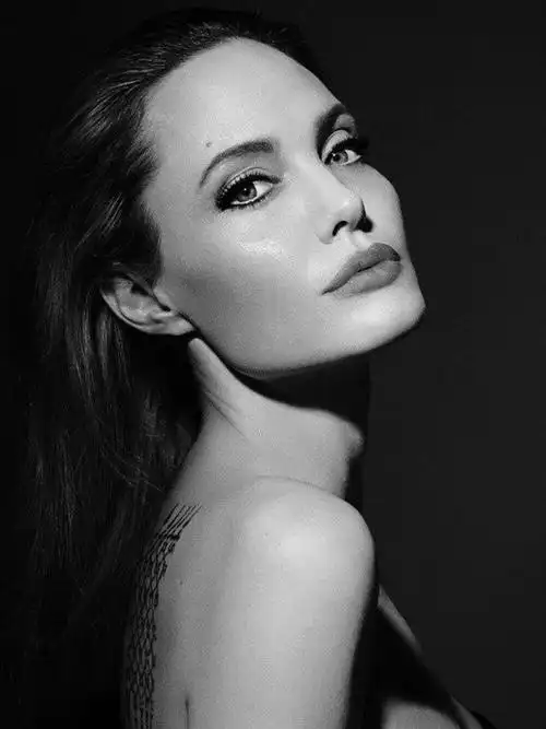 theatre and film institute和纽约大学电影学院,好莱坞电影明星,社会