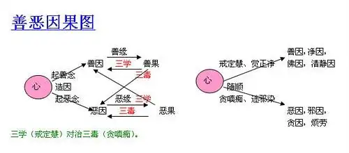 因缘果之三大规律图解(因果律的三大准则)