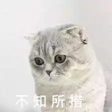 不知所措