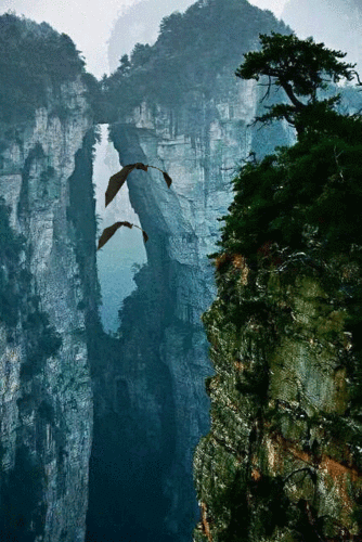 427_640竖版 竖屏gif 动态图 动图