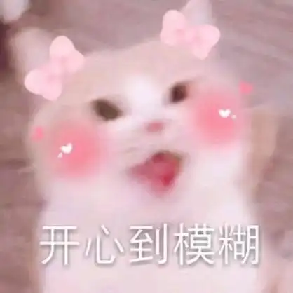 开心到模糊(猫咪)