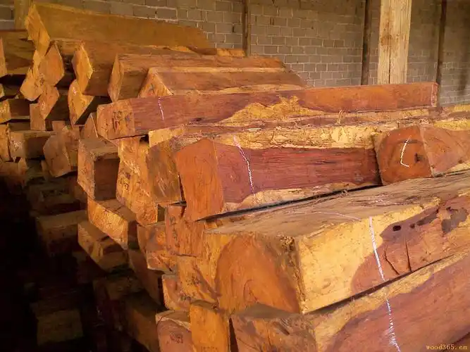 进口老挝红酸枝