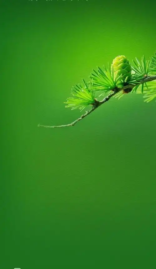 给大家几张主题