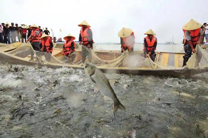 柳叶湖渔业旅游活动启幕