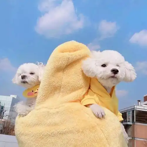 文艺朋友圈背景图