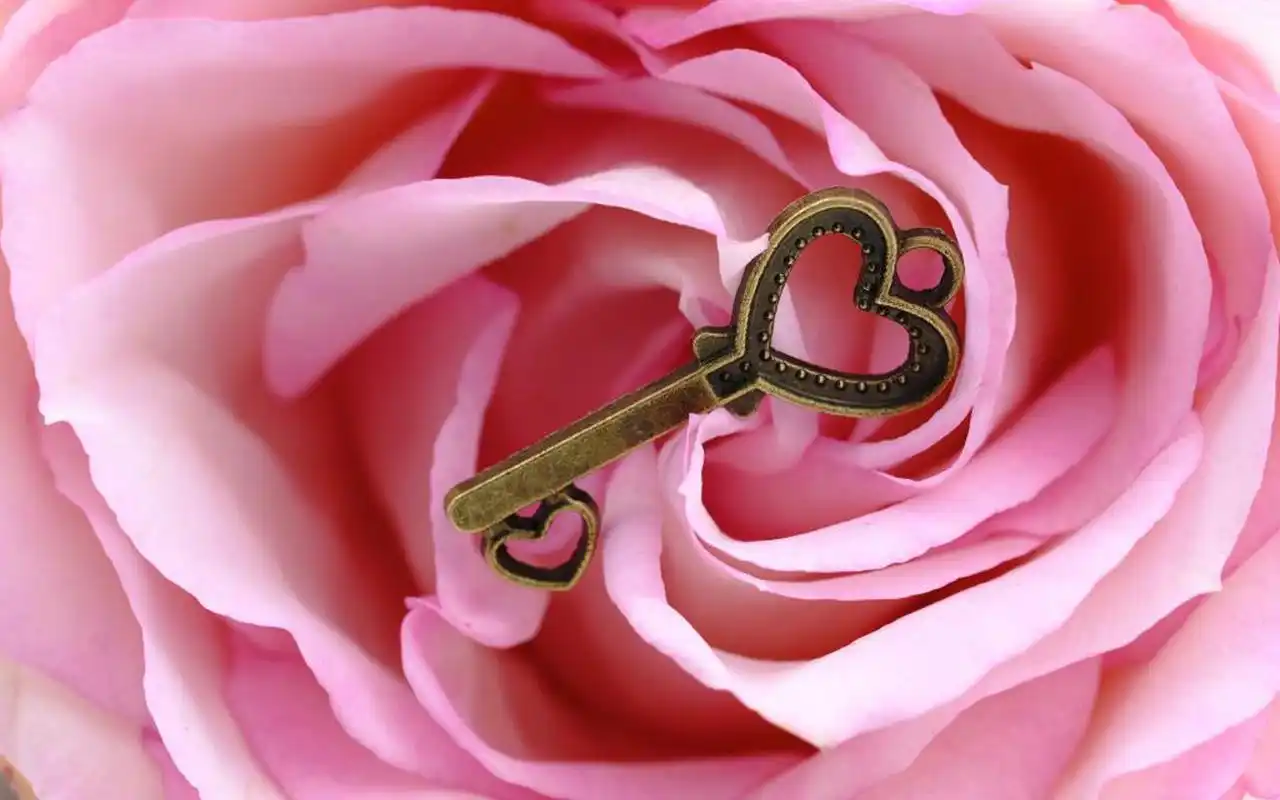 情人节浪漫唯美静物图片桌面壁纸