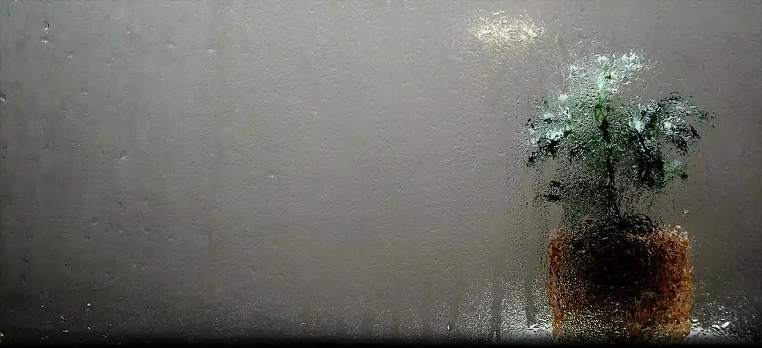 平面素材网站有哪些_千图网原创共享 - 零豆网