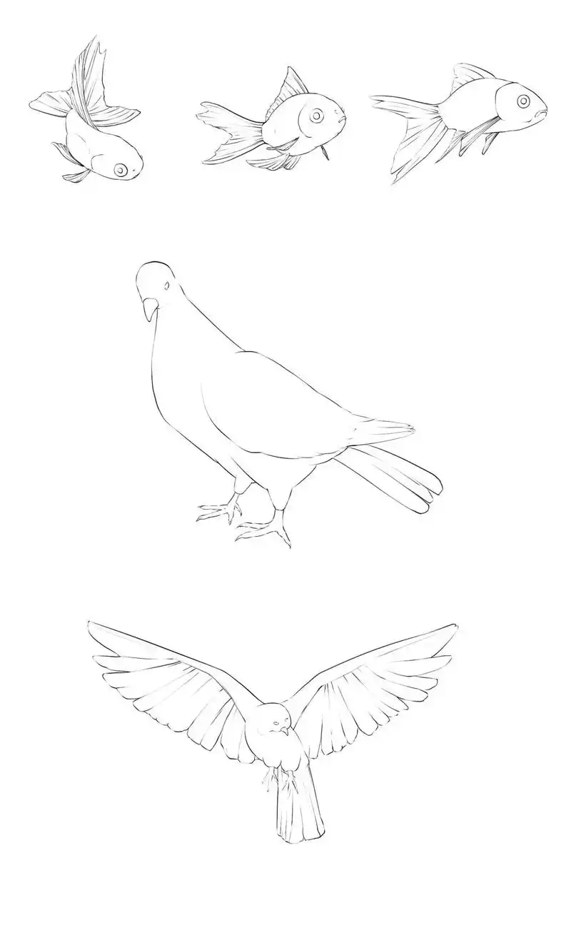 家人们!画画练习抓形体的成果来啦~从萌趣小动物到翱翔飞鸟,线