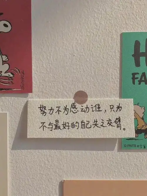 每日文案除了美丽的照片还需要温柔的文案