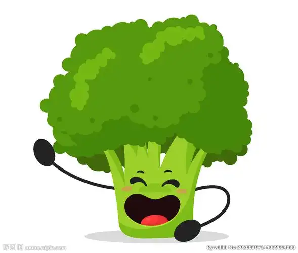 手绘西兰花图片