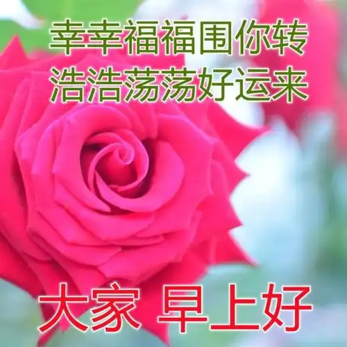 大家早晨好问候祝福图片 清晨聊天问候早上好图片