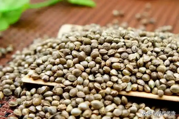 特产早知道——巴马火麻