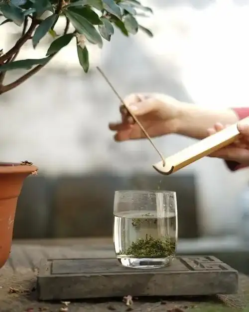 苏州最有腔调的一杯茶苏州一壶茶