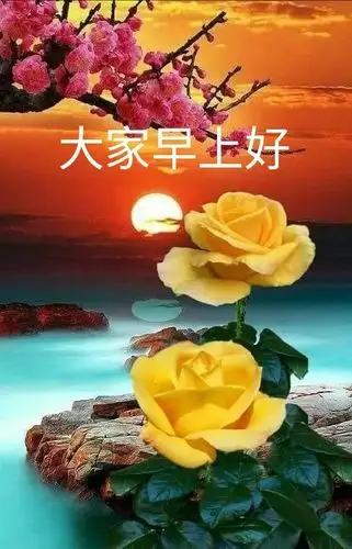 早上好图片1