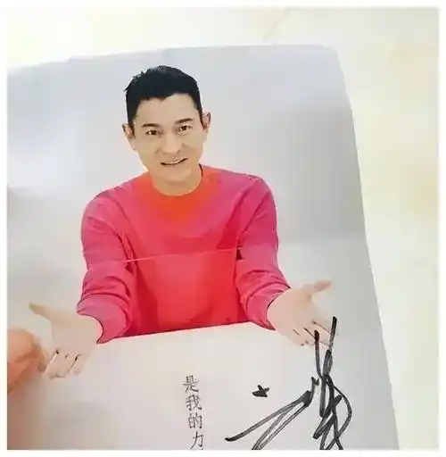 刘德华鉴定粉丝签名照,宁浩回应《红毯先生》春节档遇冷_市场_艺术