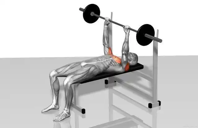 坐姿杠铃颈前推举可以锻炼三角肌前束和中束可以采用站姿进行