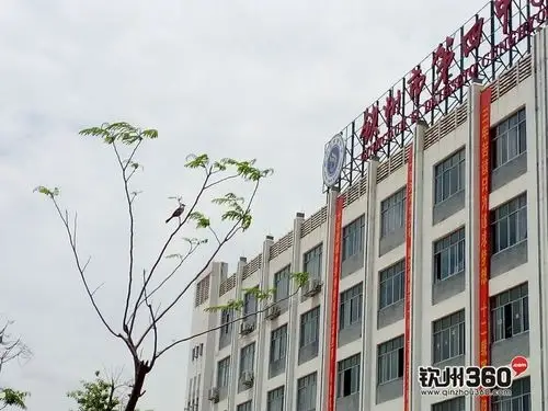 没想到你是这样的四中!(二)