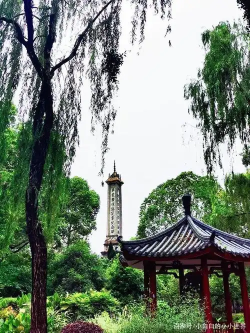 人民公园,最有成都味儿的公园