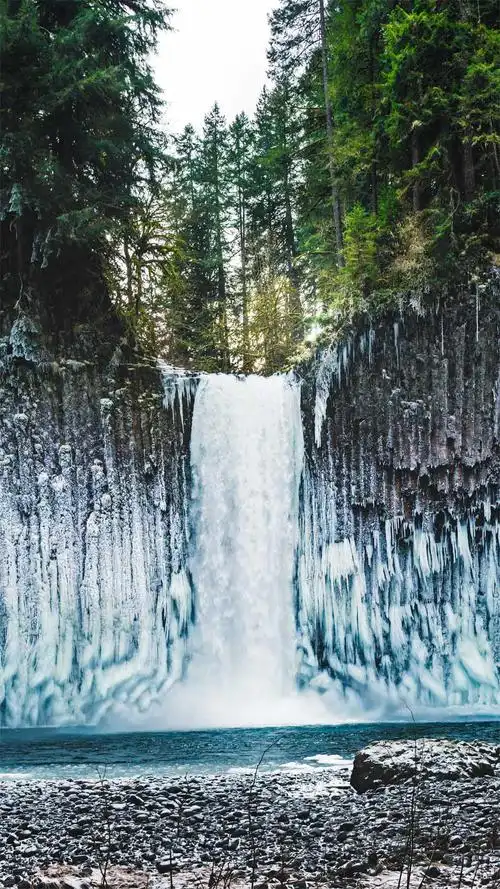 1080_1920竖版 竖屏