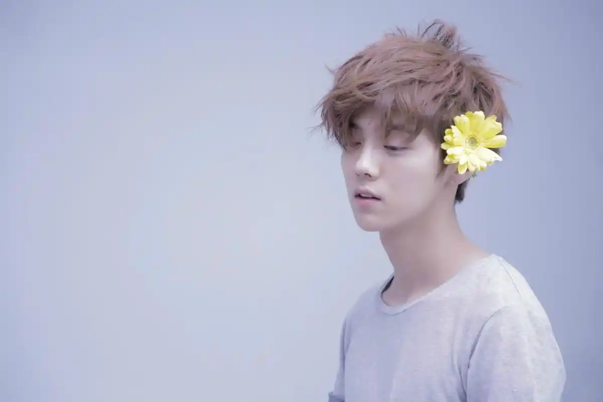 花美男 型男 漫画脸 二次元 壁纸 头像 帅哥】 桌面尺寸是1920*1080