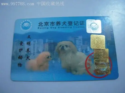 北京市养犬登记证