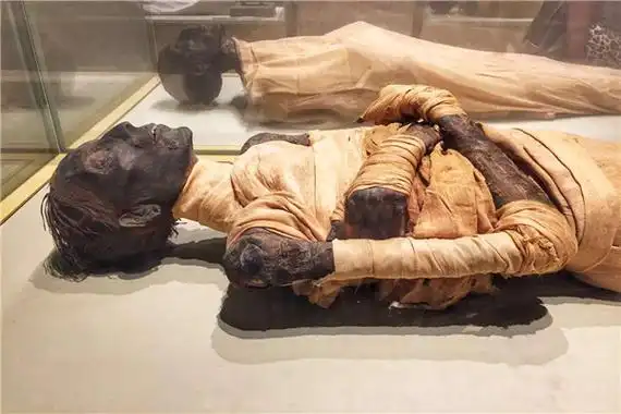 木乃伊会不会复活木乃伊是怎么制作而成的
