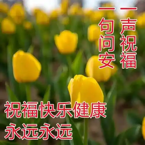 原创分享朋友圈早上好问候图片带祝福语清晨问候大家早上好的早安暖心