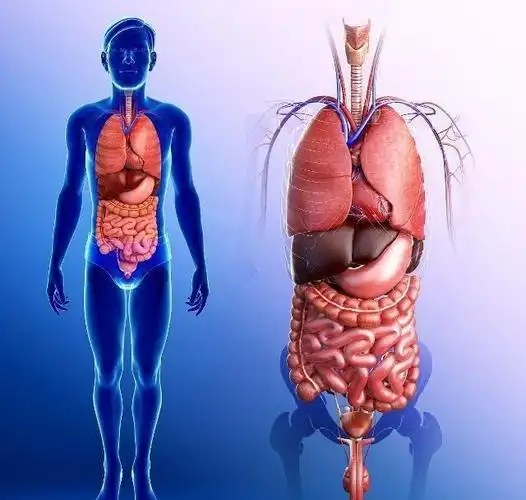 莫名出现这5个症状或是肝脏发出的信号