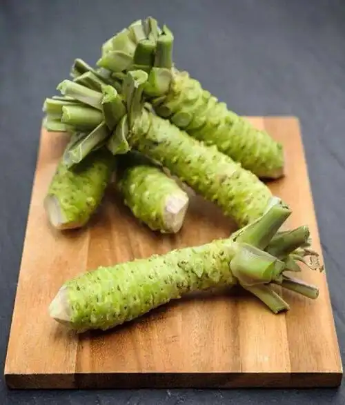 芥末这么难吃为什么还有人吃(我们吃的大都是假芥末)(11)