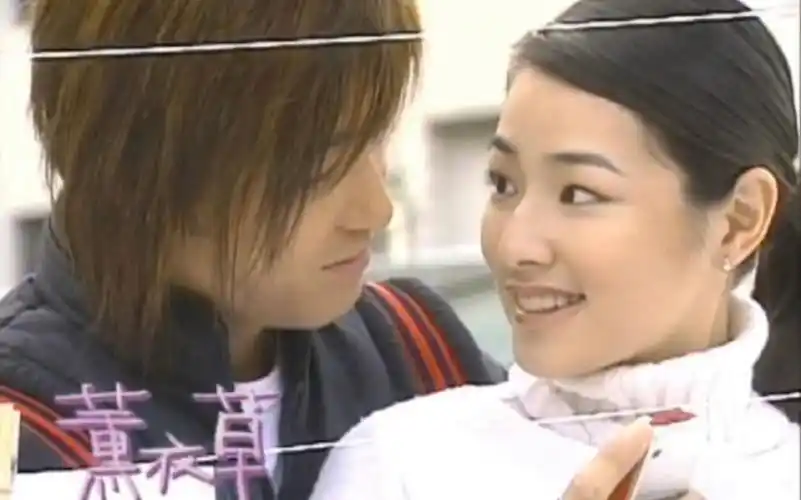 许绍洋薰衣草～回忆杀来喽