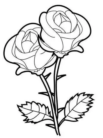 花的简笔画大全